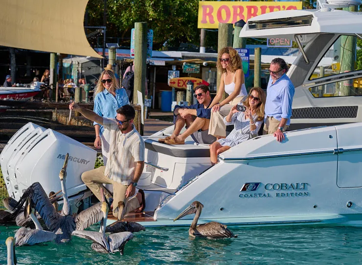 people feeding animals off boat