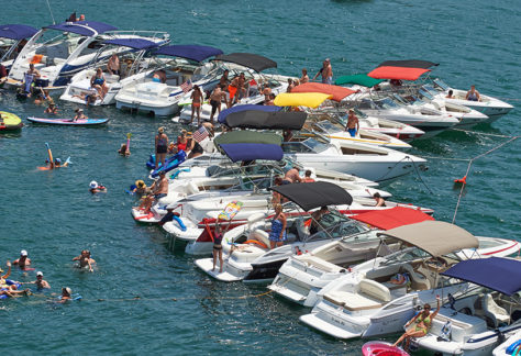 Cobalt Owners on their Boats and in Water and Lined Up at Tampa Bay Fall Boat Show